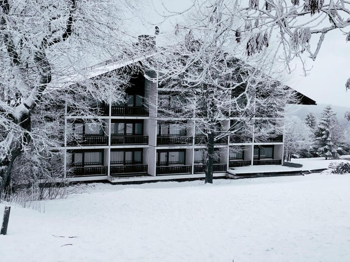 Winterwohnung Almberg Mitterfirmiansreut Exteriör bild