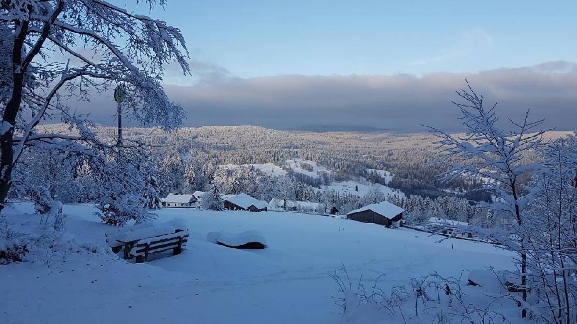 Winterwohnung Almberg Mitterfirmiansreut Exteriör bild